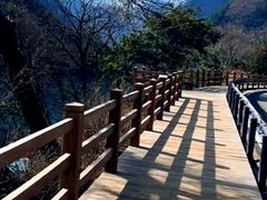 -九寨沟-树正沟