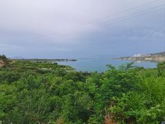 -小赖鱼馆
