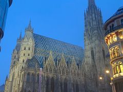 -斯蒂芬主教座堂(Stephansdom)