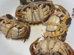 -杨氏青龙虾·羊肉季(金盛路总店)
