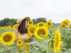 -光明小镇欢乐田园