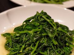 -羊门客在·烤盐池滩羊·川菜