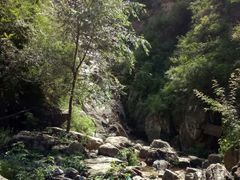 -大平台龙居瀑布旅游区