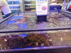 波士顿大龙虾-盒马鲜生(大成店)