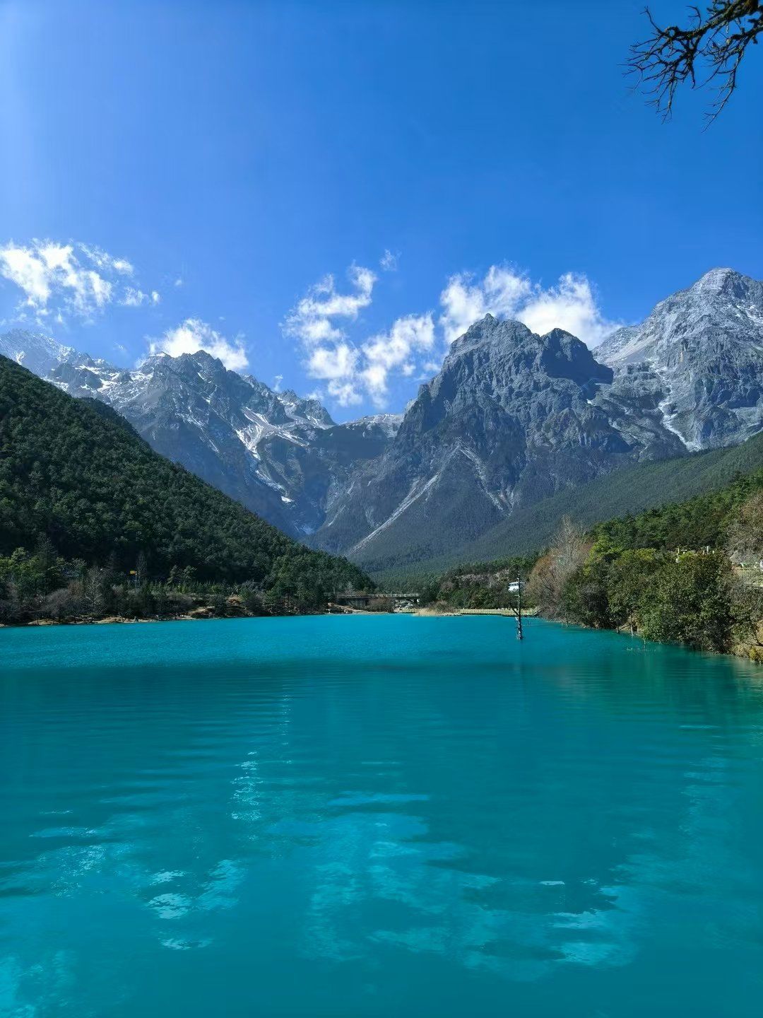 这里是云南的洱海,景色美得让人沉醉,湖光