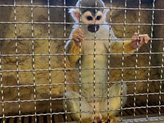 -成都浩海立方海洋公园