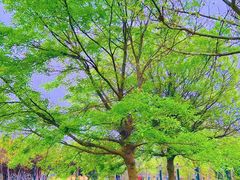 -大港湿地公园