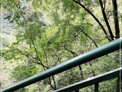-黔灵山公园