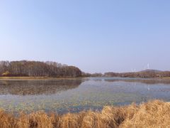 -御道口草原森林风景区