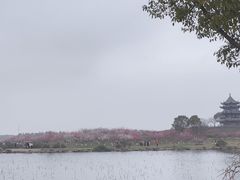 -上海海湾国家森林公园