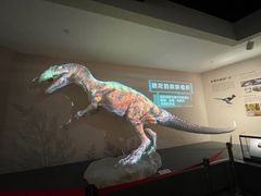-自贡恐龙博物馆