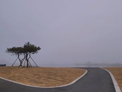 -青岛石老人海水浴场
