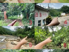 -海南霸王岭国家森林公园