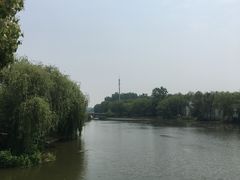 -溱湖国家湿地公园