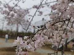 -姚家猪蹄坊(蓝田县店)