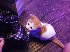 -星宿秘码(鼓浪屿老店)
