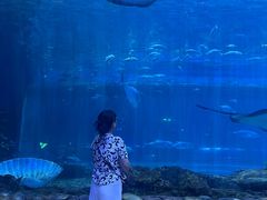 -华夏文旅海洋公园