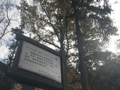 -天明山温泉大酒店