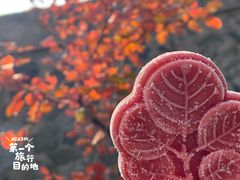 -香山公园