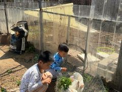 -大自然农场蔬菜草莓采摘园