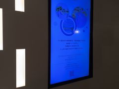 -上海佘山世茂艾美酒店