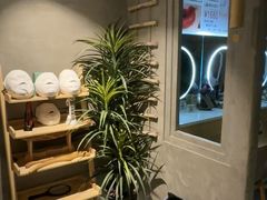 -施奈儿.洗头頭療.按摩SPA.采耳(上梅林店)