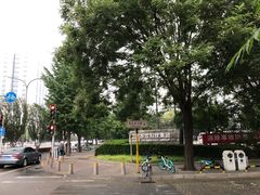 -苗小坛酸汤鱼(酒仙桥店)