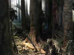 -浙江自然博物院(杭州馆)