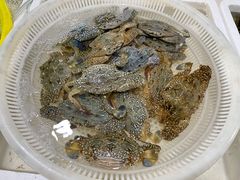 -板桥海鲜广场(文明东店)