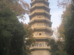 -灵谷景区