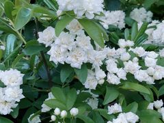 -府河摄影公园