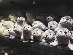 -暹罗海洋世界