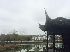 -八大山人梅湖景区