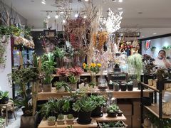 -燕庭·纯燕窝·甜品下午茶(南京西路店)