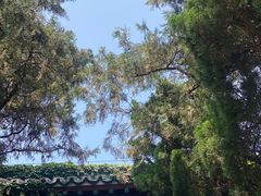 -蓬莱阁景区