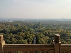 -灵谷景区