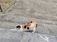 -安徽大学(磬苑校区)
