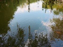 -星海公园(番禺区)