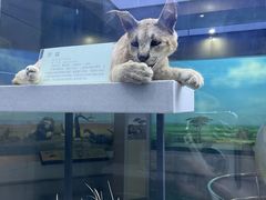 -国家自然博物馆