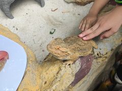 -广州长隆飞鸟乐园