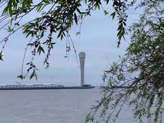 -上海吴淞炮台湾国家湿地公园