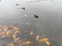 -中国农业博物馆