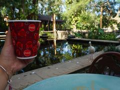 -奥兰多迪士尼动物王国乐园