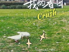 -人民广场