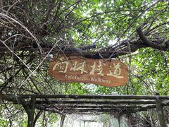 -海口火山口国家地质公园