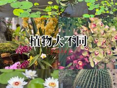 -国家植物园南园