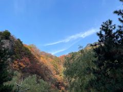 -秦岭终南山世界地质公园翠华山景区