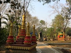 -瑞丽独树成林风景区