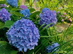 -常州古运河南大街文化旅游区-人民公园