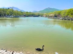 -北宫国家森林公园